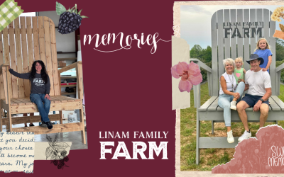 New Photo Ops Make Berry Season Even More Fun