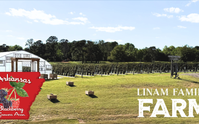 Arkansas Blackberry Growers Association: Spreading the Word