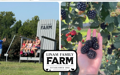 A Full Day of Family Fun at Linam Farm (Without the Sticker Shock)