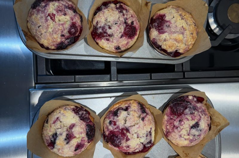 Blackberry Muffins