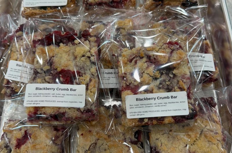 Blackberry Crumb Bars Recipe